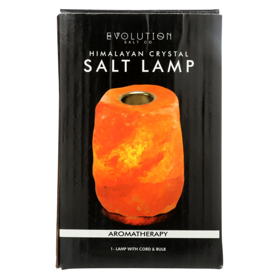 Evolution Salt Crystal Salt Lamp - Aromatherapy - 1 Countidx HG1702059